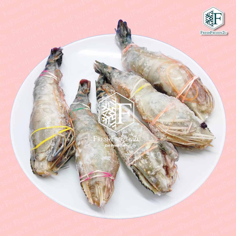 Prawn Freshwater Scampi Sang Har (5 pcs) (550 g+—)