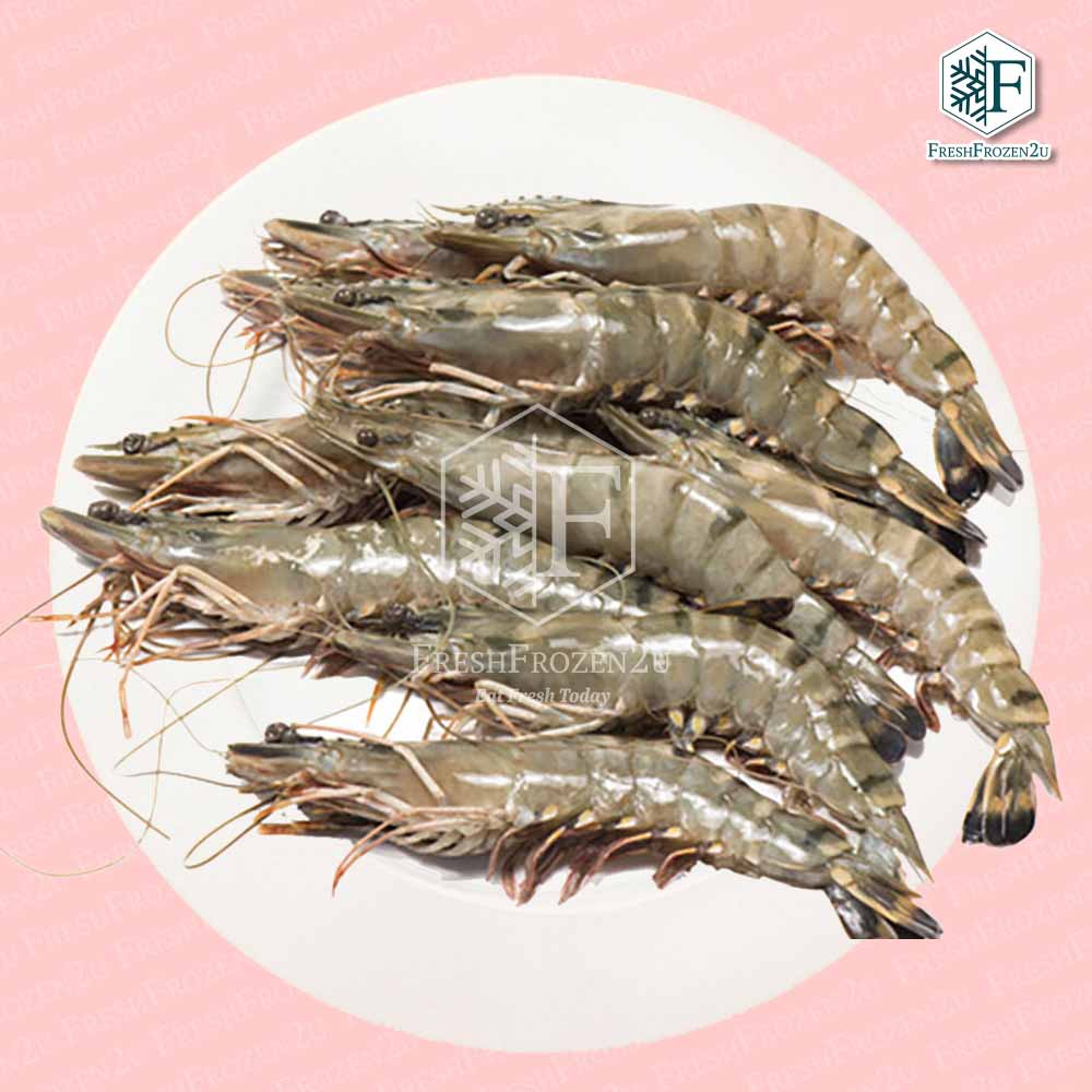 Prawn Tiger (31-35 pcs) (700 g) 虎虾