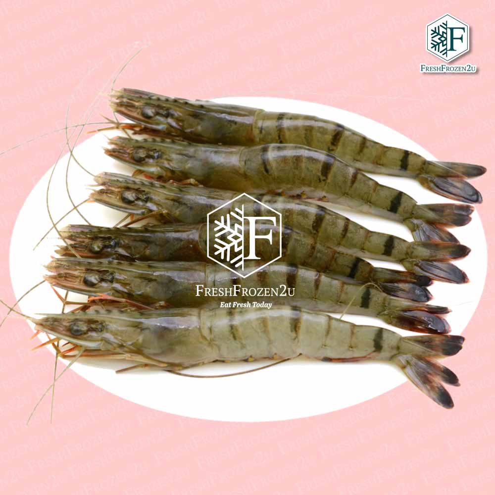 Tiger Prawn Cultured 16/20 (700 g) 虎虾