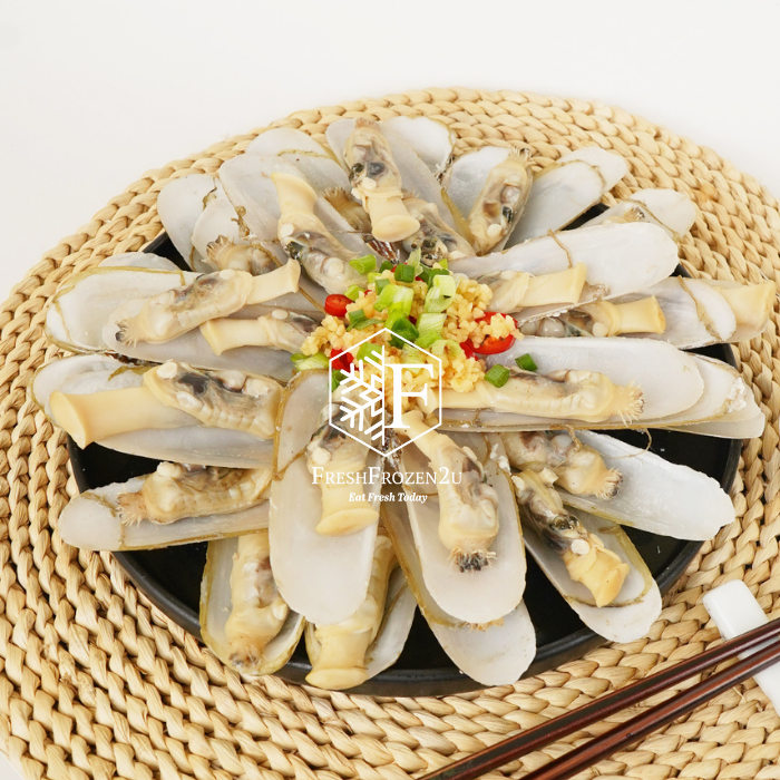 Fingernail Clam 指甲蚌 (16-20 pcs)