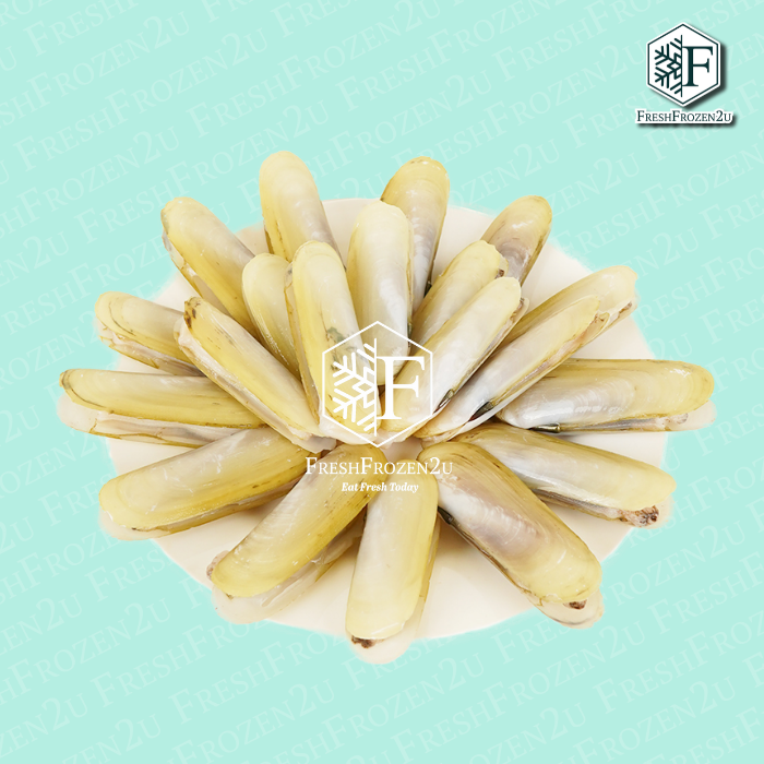 Fingernail Clam 指甲蚌 (16-20 pcs)