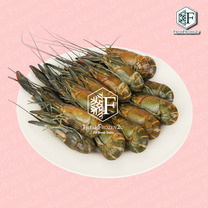 Crayfish (Baby Lobster) 小龙虾 30/50 (1 kg)