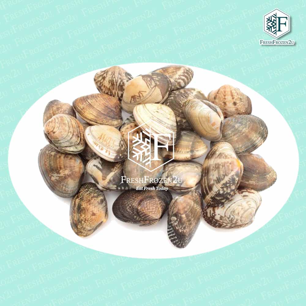 Asari Clam 20/30 (500 g) 花蛤啦啦