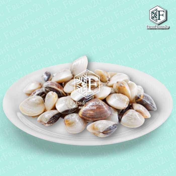 White Clam (1kg) Kepah 沙白