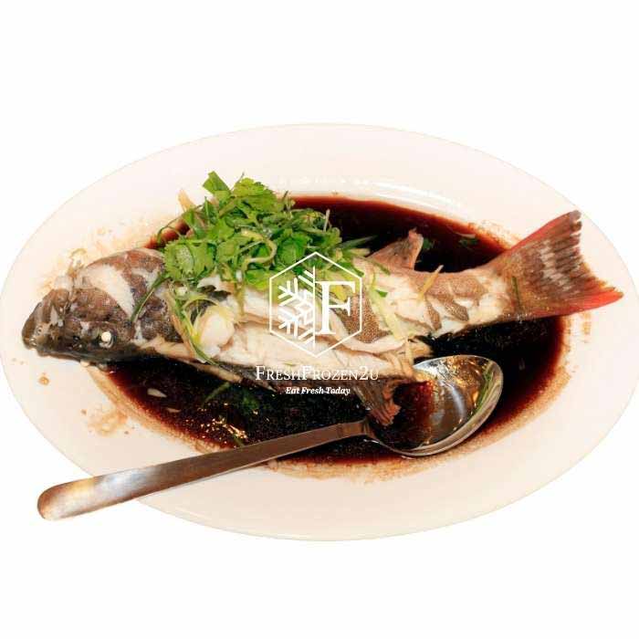 Grouper Fish (450g) 石斑鱼 Kerapu Batu