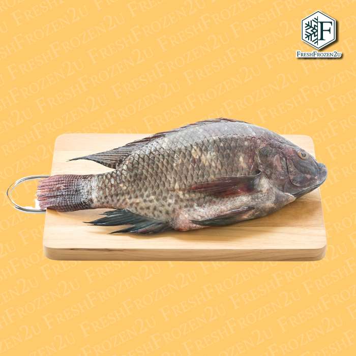 Black Tilapia (650g) 黑非洲鱼