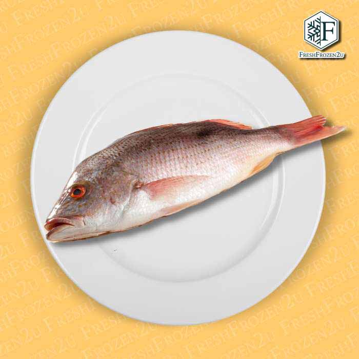 Sabah John Snapper Fish (350g) 红糟鱼