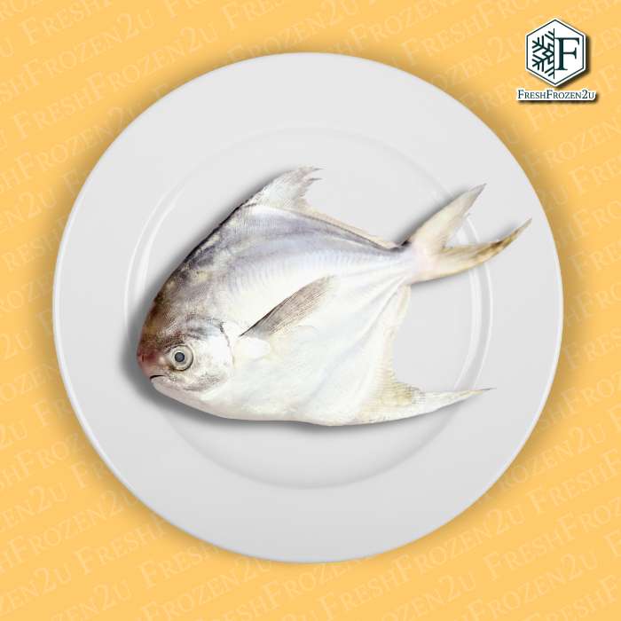 Brined White Pomfret 盐渍白鲳